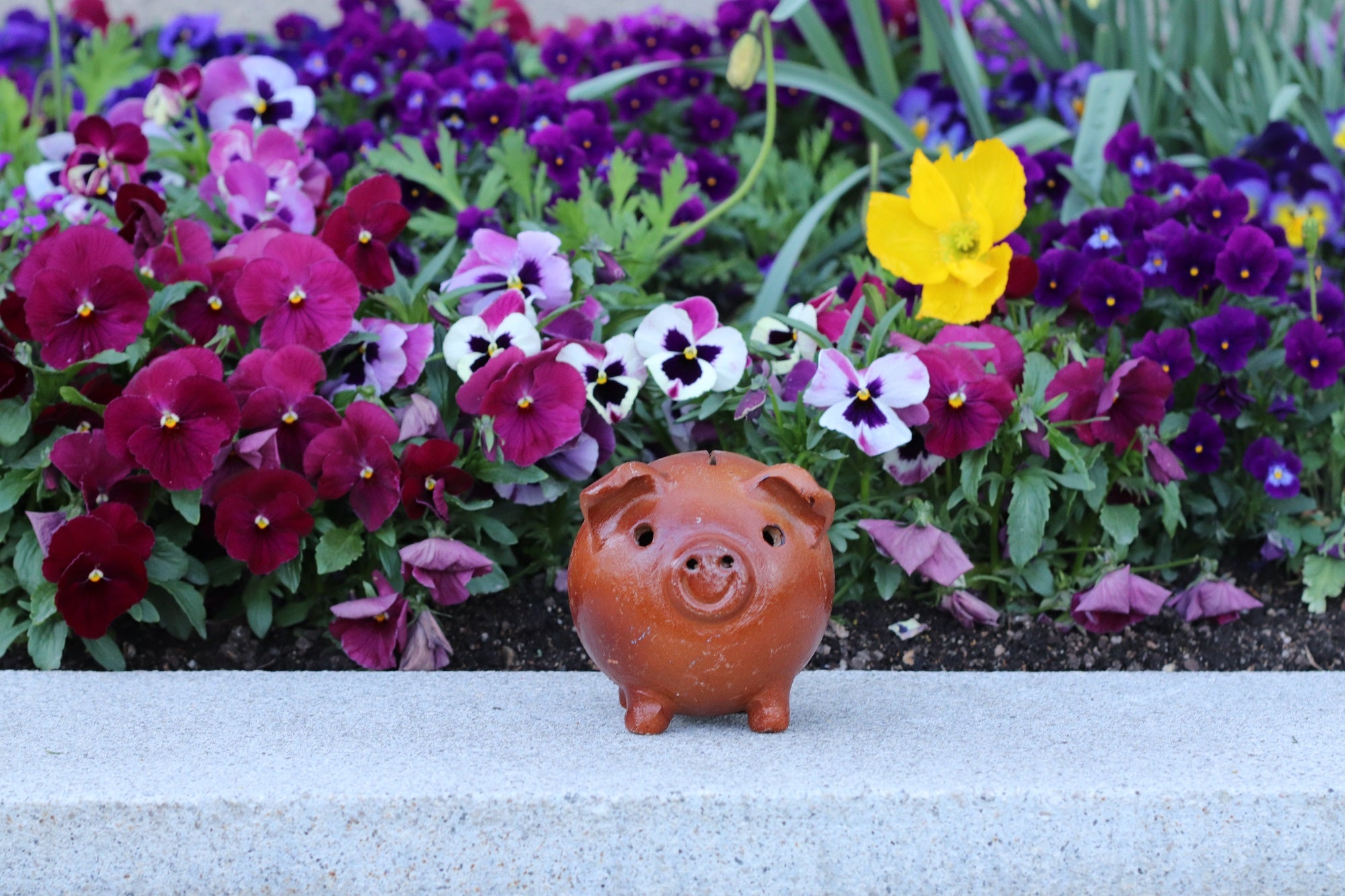 Ceramic Piggy Smash Bank, 5 x 5 x 5 inches-Glazed Glazed Piggies